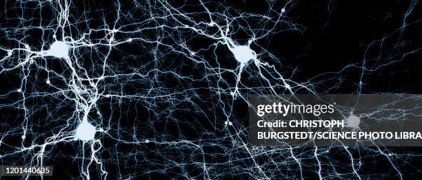 neural network, illustration - daunting stock illustrations