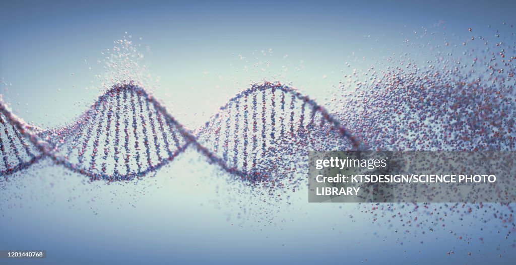 DNA damage, illustration