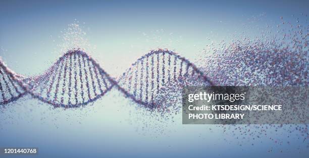 dna damage, illustration - genetic modification 幅插畫檔、美工圖案、卡通及圖標