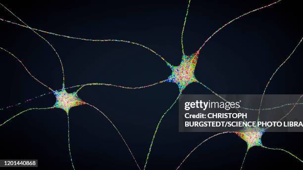 nerve cells, illustration - neuroscience stock illustrations