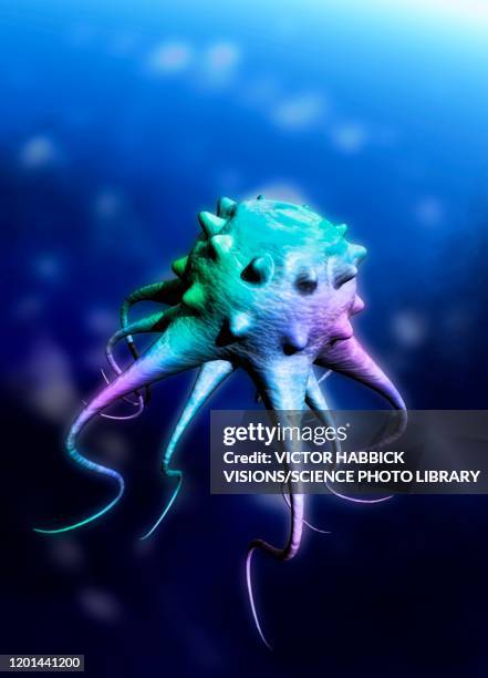 Lifeform 17 Life Form Stock Photos, High-Res Pictures, and Images - Getty Images