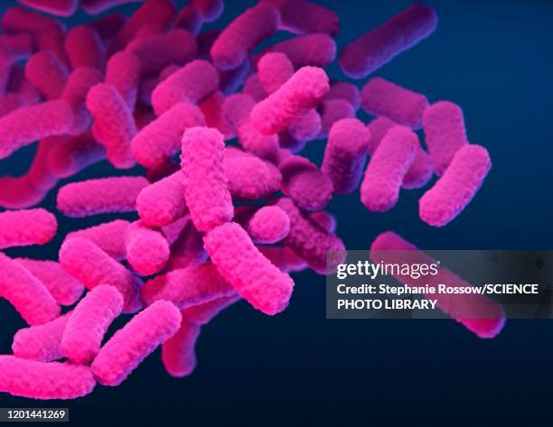 stockillustraties, clipart, cartoons en iconen met enterobacteriaceae bacteria, illustration - salmonella bacterium