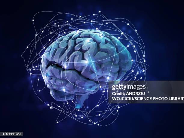 artificial neural network, illustration - human nervous system stock illustrations