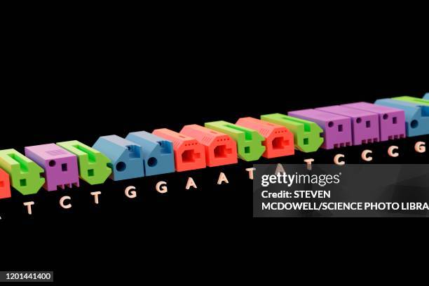 dna, conceptual illustration - nucleotide stock illustrations