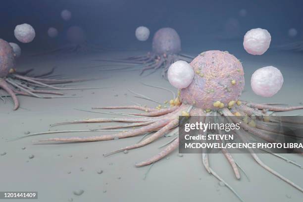 immune system attacking cancer cells, illustration - t cell stock illustrations