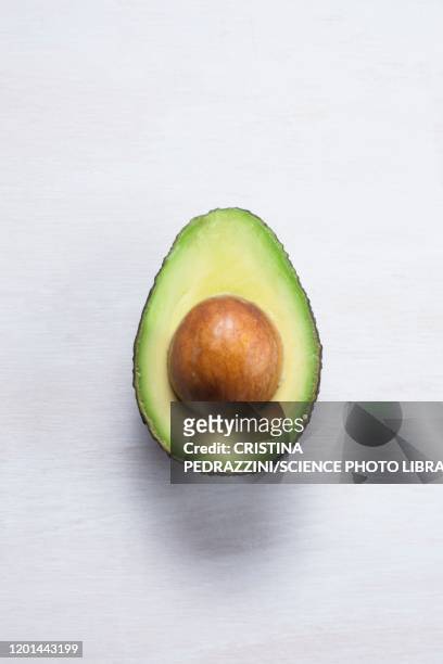 an avocado cut in half - avocado stock pictures, royalty-free photos & images