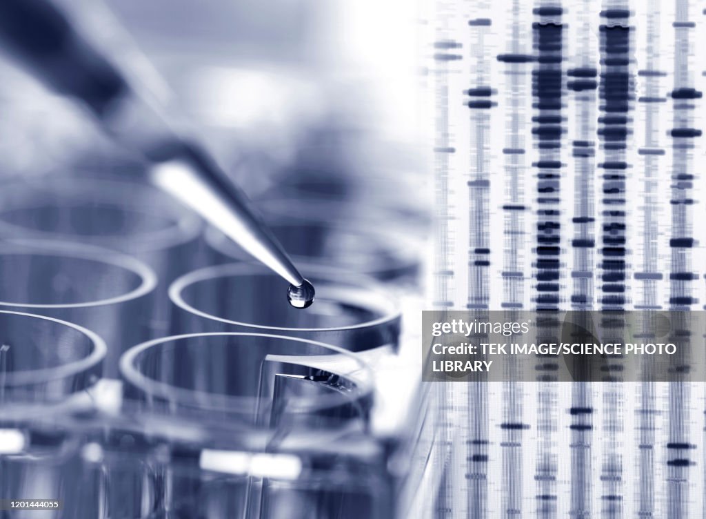 Jenetic Testing Genetic Testing High-Res Stock Photo - Getty Images