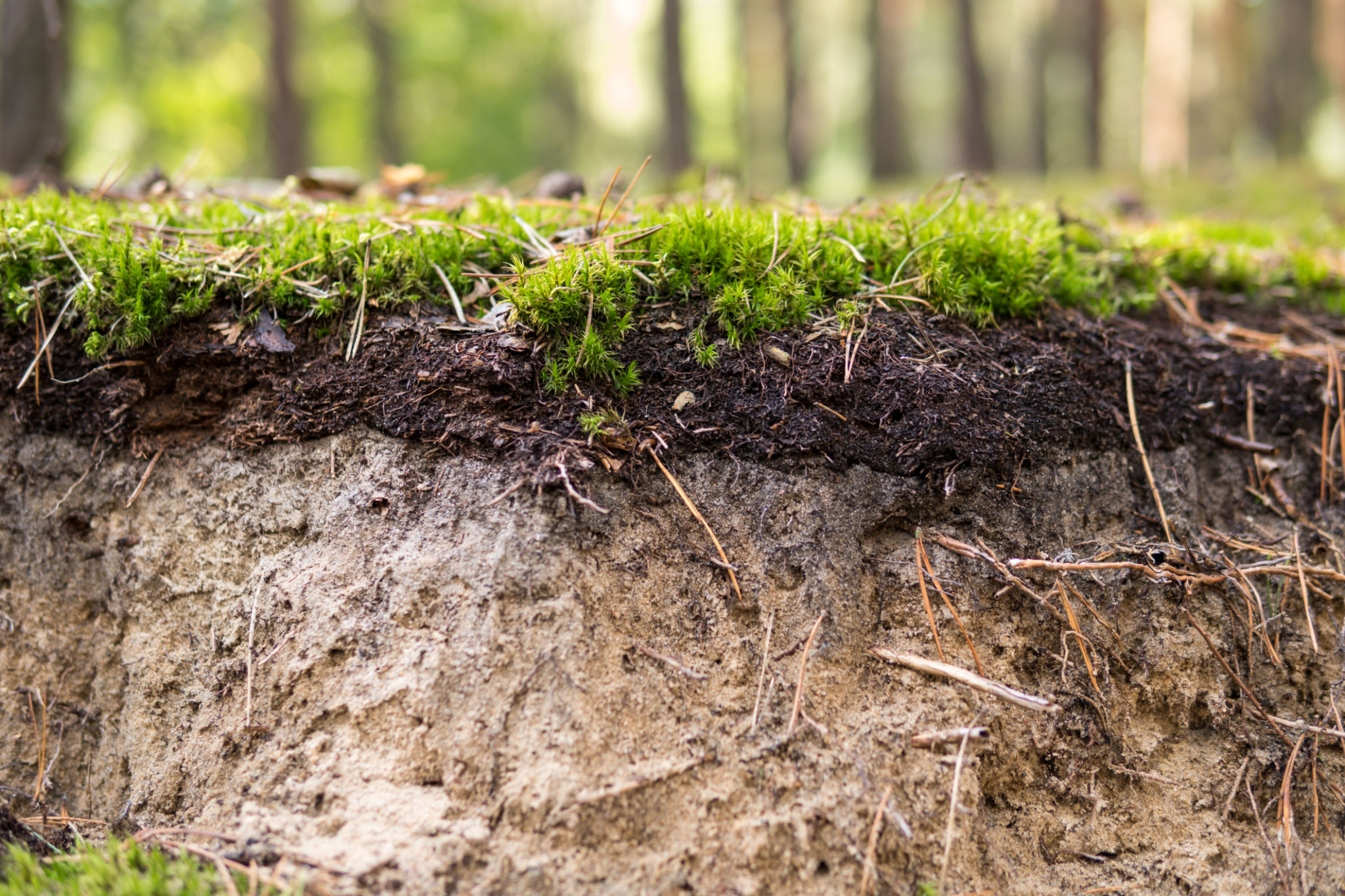 topsoil layers