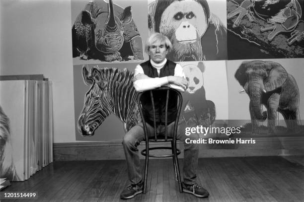 American Pop artist Andy Warhol sits in front of several paintings in his 'Endangered Species' at his studio, the Factory, in Union Square, New York,...