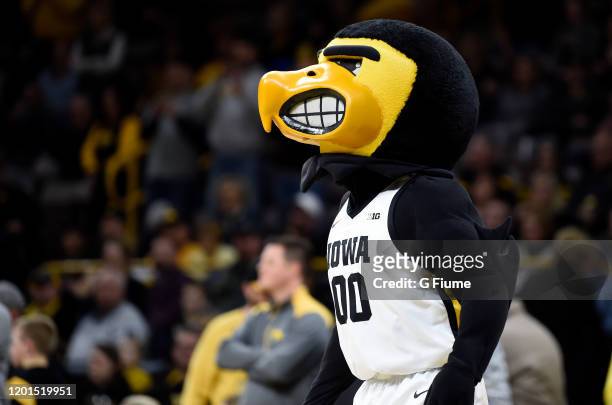 The Iowa Hawkeyes mascot performs during the game against the Maryland Terrapins at Carver-Hawkeye Arena on January 10, 2020 in Iowa City, Iowa.