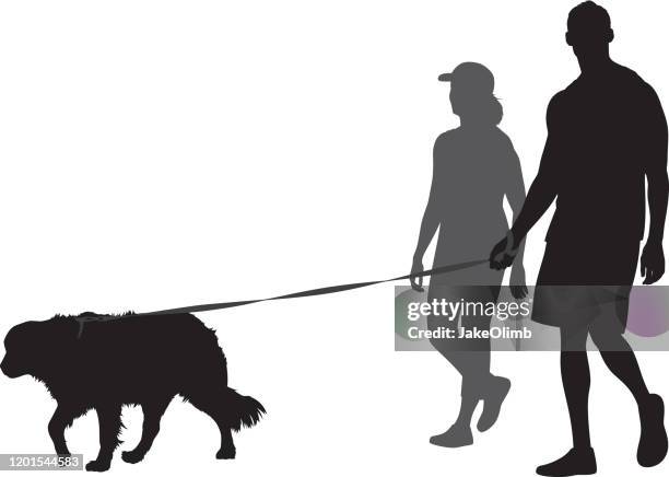 paar walking hund silhouette - dog leash stock-grafiken, -clipart, -cartoons und -symbole