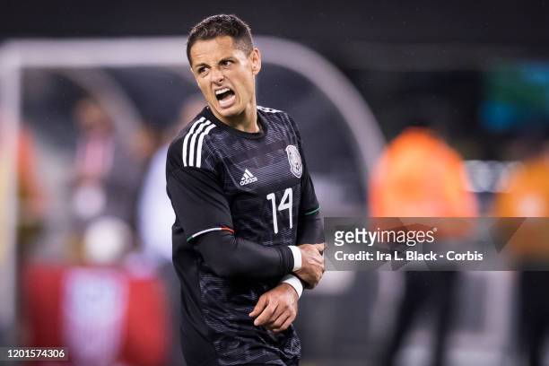 Javier Hernandez of Mexico screams in pain and holds his forearm from a hit during the second half of the Friendly match between the United States...