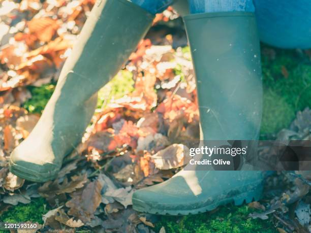 view ongreen plastic boots of seated people in underwrote , countryside in winter, normandie area , france , december 2019 - winter boots leaves stock pictures, royalty-free photos & images