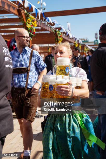 waitress carrying beer glasses at the oktoberfest in munich, germany - biergarten münchen stock pictures, royalty-free photos & images