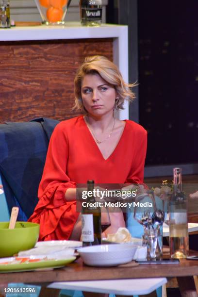 Ludwika Paleta reappeared as part of the cast of the play 'Perfectos Desconocidos ' at Teatro Libanes on January 23, 2020 in Mexico City, Mexico.