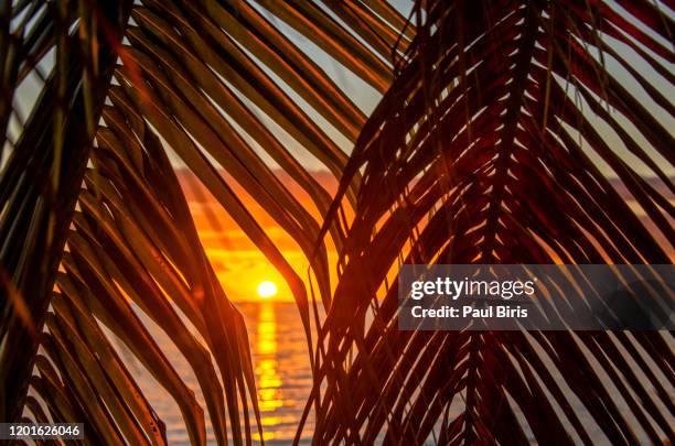 cuba, playa ancon beach. colorful sunset at playa ancon near trinidad in cuba - playa ancon cuba stock-fotos und bilder