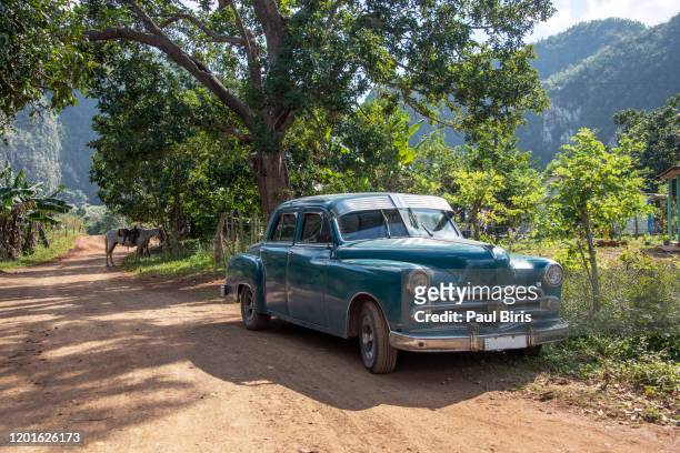 old american car on rural road in vinales national park, cuba - viñales cuba fotografías e imágenes de stock
