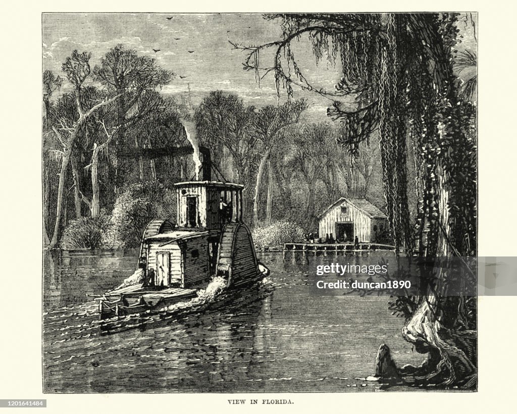 River boat in Florida, 19th Century