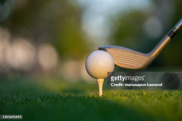 golf ball on green grass ready to be struck on golf course background - golf stock-fotos und bilder