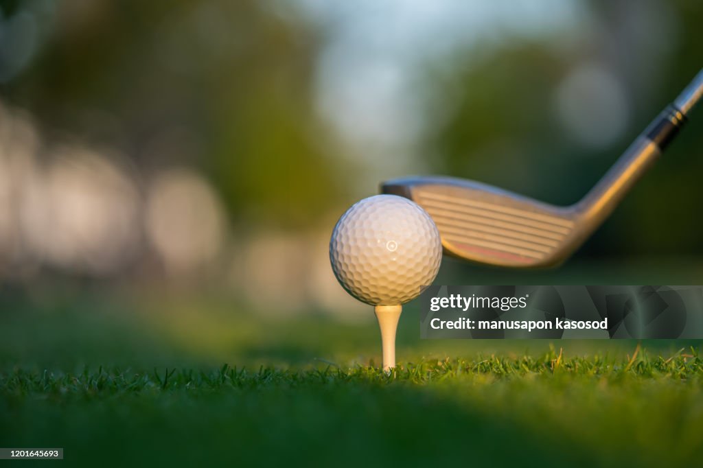 Golf ball on green grass ready to be struck on golf course background