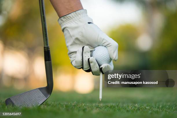 hand putting golf ball on tee in golf course. - putting gloves stock pictures, royalty-free photos & images