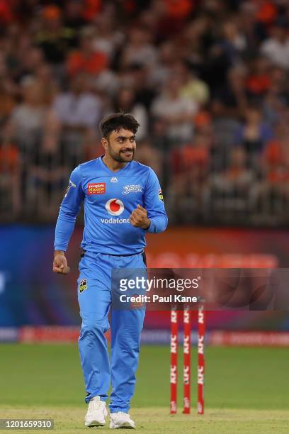 Rashid Khan of the Strikers celebrates the wicket of Cameron Bancroft of the Scorchers during the Big Bash League match between the Perth Scorchers...