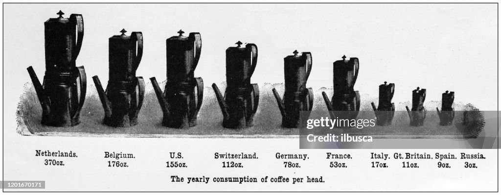 Antique Illustration infographic: Yearly consumption of coffee per country
