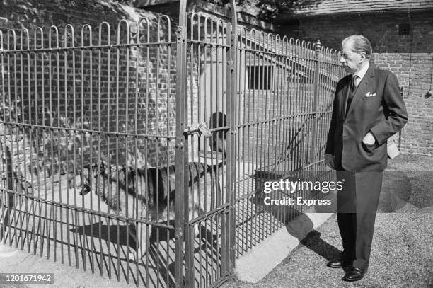 American industrialist J Paul Getty inspecting a caged dog, 20th June 1965.