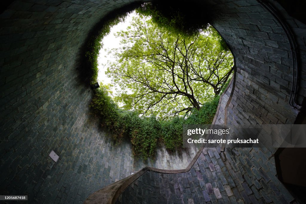Fort Canning Park, Singapore.