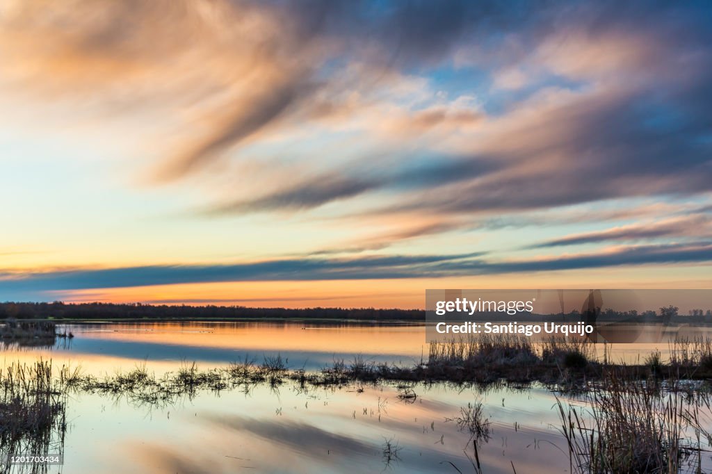 Marsh at sunrise in Donana National Park