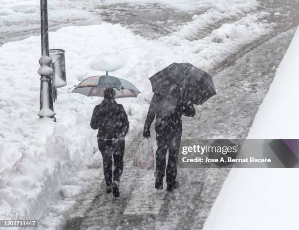 persons with an umbrella walking down the street during a snow storm. - torrential rain umbrella stock pictures, royalty-free photos & images