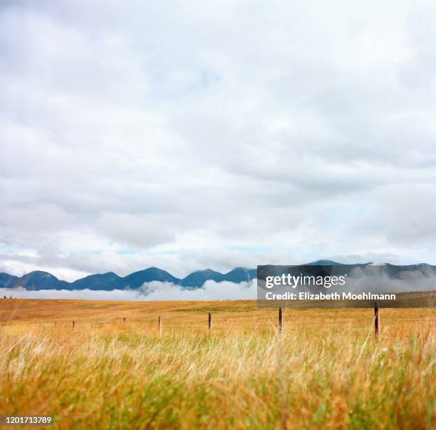 montana fence - montana western usa stockfoto's en -beelden