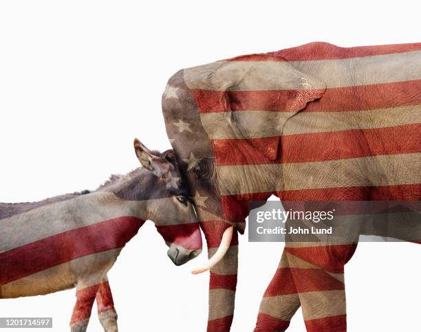 partisan political donkey and elephant - partisan politics fotografías e imágenes de stock