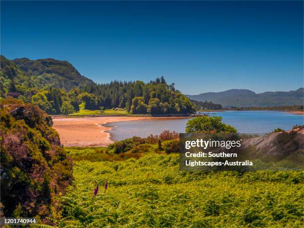 loch moidart, lochaber, western highlands, scotland, united kingdom - loch moidart stock pictures, royalty-free photos & images