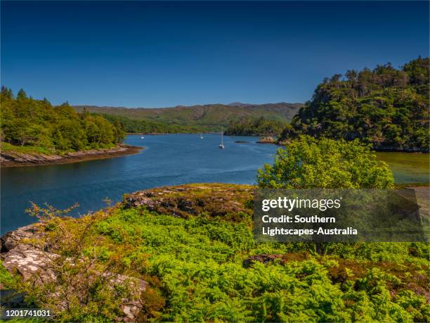 loch moidart, lochaber, western highlands, scotland, united kingdom - loch moidart stock pictures, royalty-free photos & images