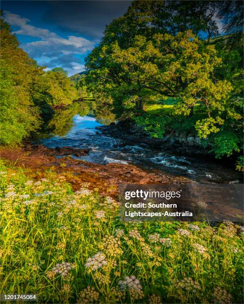 a reflection in the dochart river, summertime in killin, scotland, united kingdom - australia summer reflection foto e immagini stock