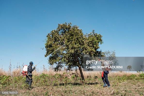 UGANDA-ENVIRONMENT-LOCUSTS-FOOD UGANDA-ENVIRONMENT-LOCUSTS-FOOD