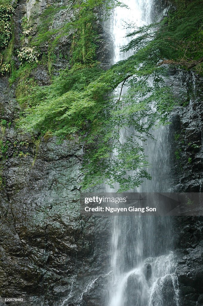 Mino waterfall