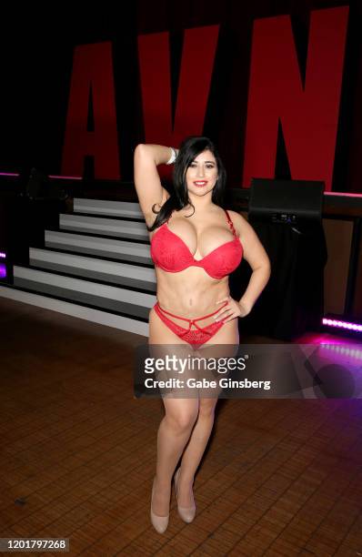 Webcam model Bonnie Ann poses during the 2020 AVN Adult Expo at The Joint inside the Hard Rock Hotel & Casino on January 24, 2020 in Las Vegas,...
