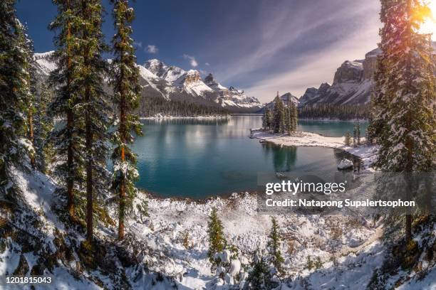 spirit island during winter season, maligne lake, jasper national park, alberta, canada. - lago maligne foto e immagini stock