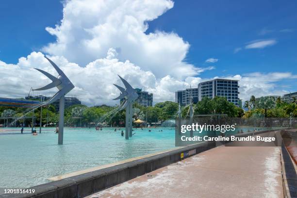 cairns esplanade, cairns, australië - cairns australië stockfoto's en -beelden