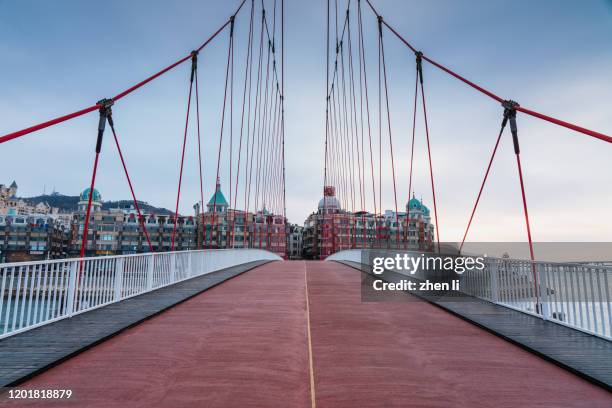 pedestrian way on cable-stayed bridge - wire rope stock pictures, royalty-free photos & images