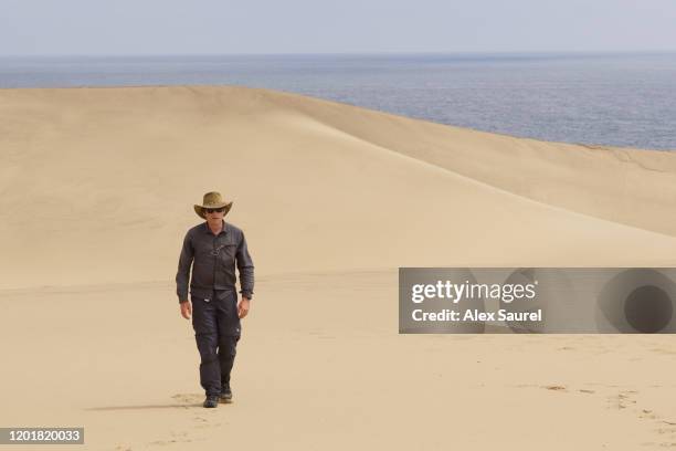 man walking on the dunes of skeleton coast, sandwich bay, namibia - desert sable stock pictures, royalty-free photos & images