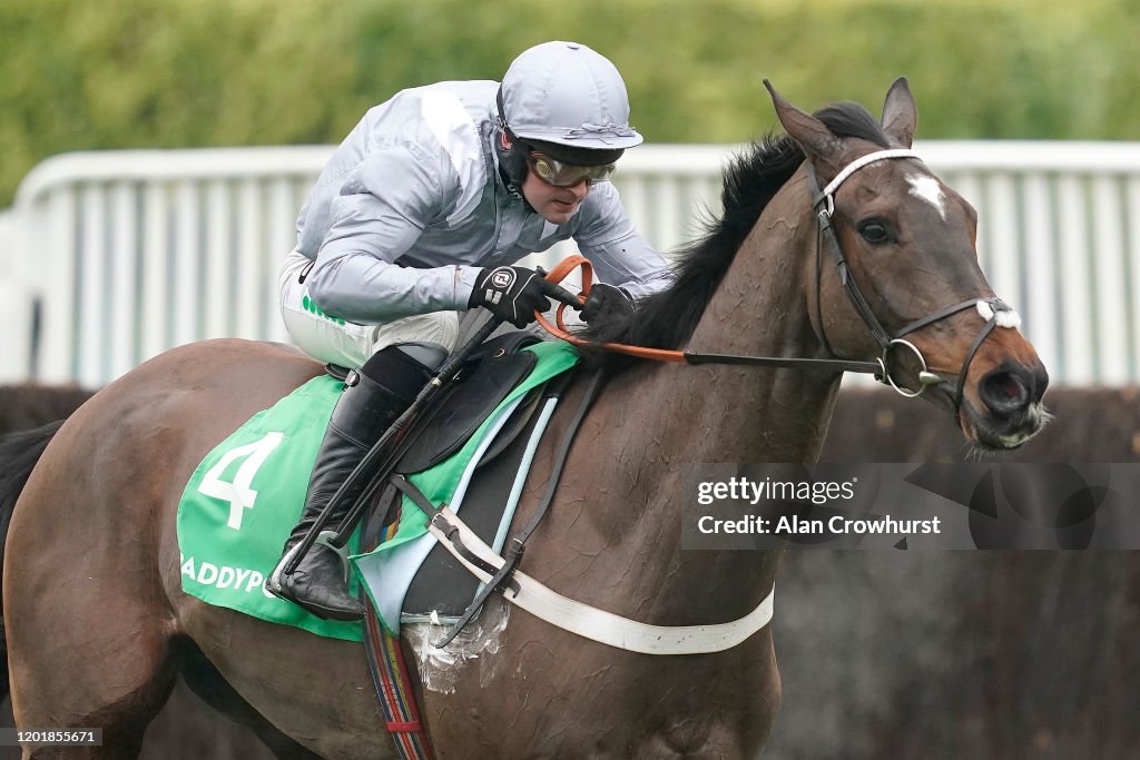 Cheltenham Races