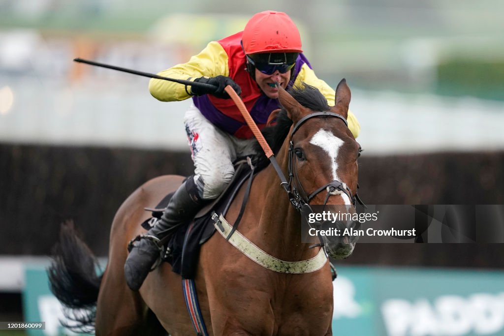 Cheltenham Races