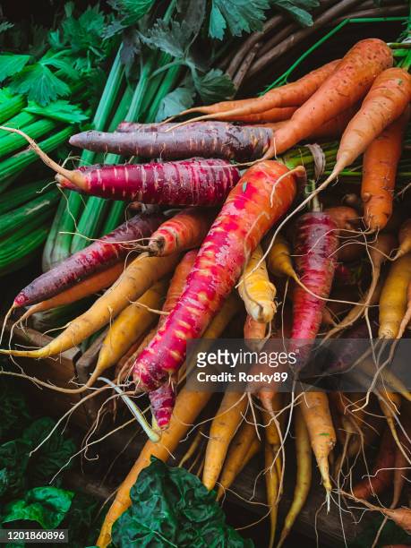 bunte bio-karotten auf dem oranjezicht bauernmarkt in kapstadt, südafrika - carrot stock-fotos und bilder