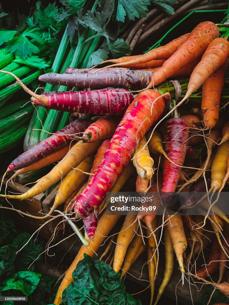 ケープタウン、南アフリカのオランジェジヒトファーマーズマーケットでカラフルな有機ニンジン