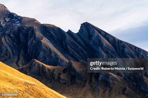 Large Brown Ridge Brown Top View Photos and Premium High Res Pictures - Getty Images