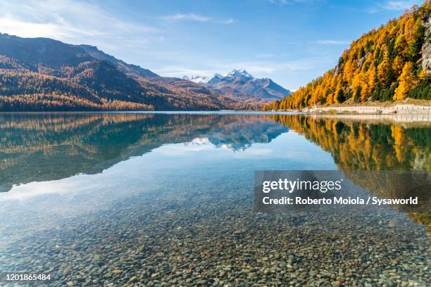 lake silvaplana in autumn, st. moritz, switzerland - switzerland lake stock pictures, royalty-free photos & images