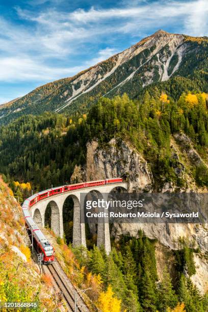 bernina express train on landwasser viaduct, switzerland - schweizer alpen stock-fotos und bilder